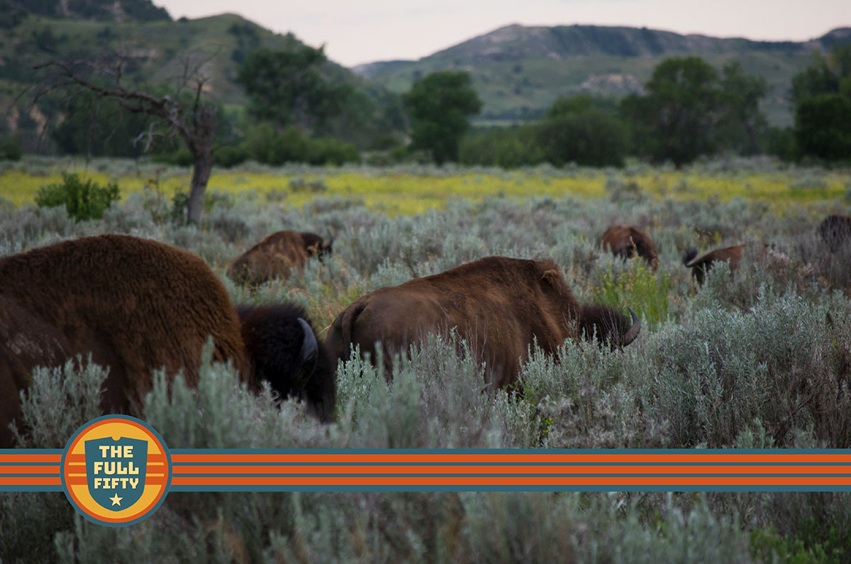 Highlights of North Dakota - Top Places to Visit on a US Road Trip